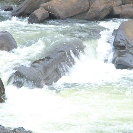 Adventure Base Camp Hotel Kitulgala Luaran gambar