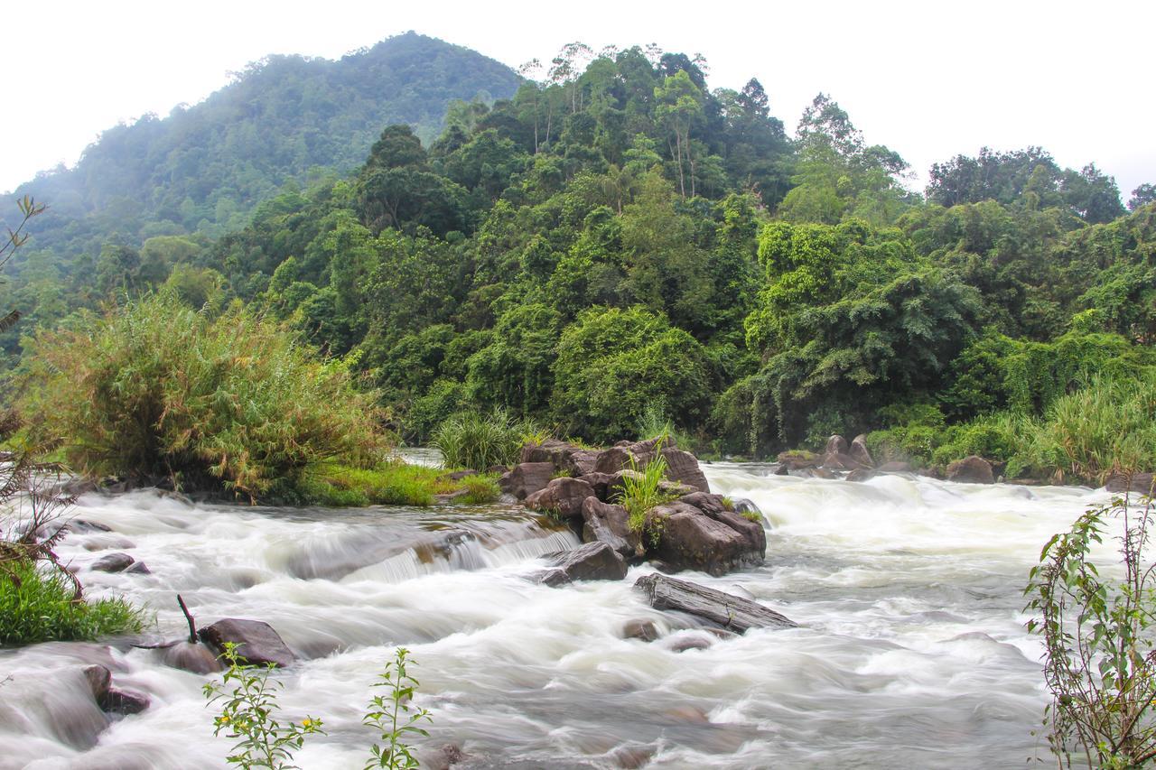 Adventure Base Camp Hotel Kitulgala Luaran gambar