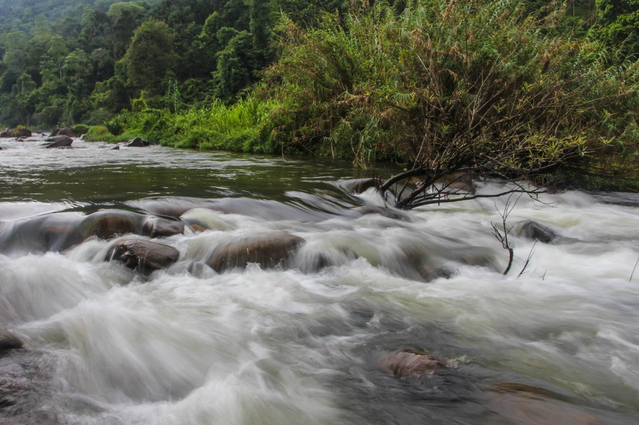 Adventure Base Camp Hotel Kitulgala Luaran gambar