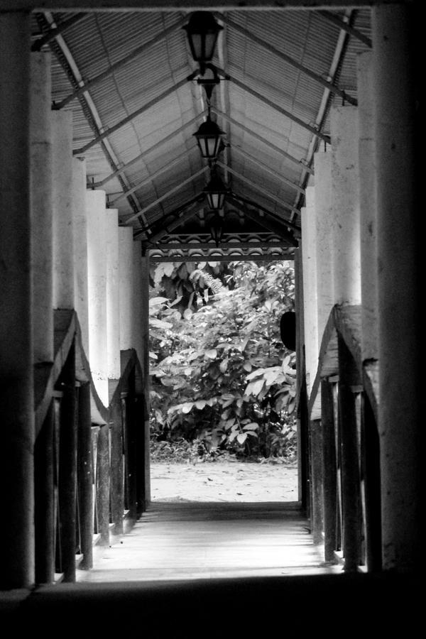Adventure Base Camp Hotel Kitulgala Luaran gambar