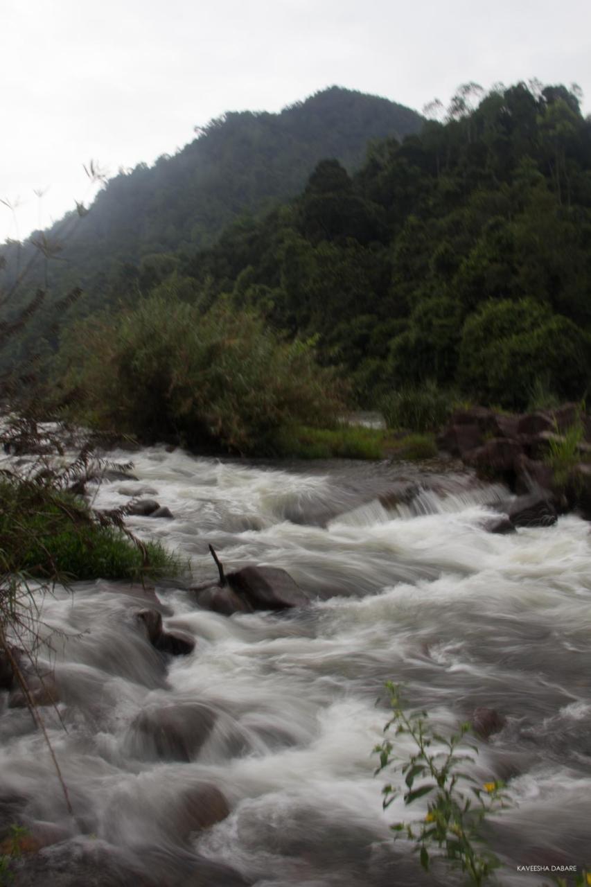 Adventure Base Camp Hotel Kitulgala Luaran gambar