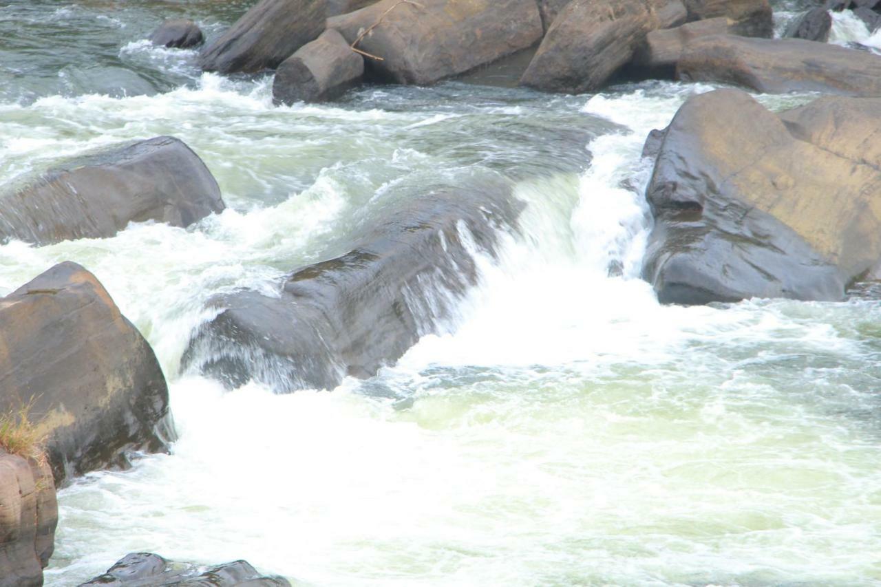 Adventure Base Camp Hotel Kitulgala Luaran gambar