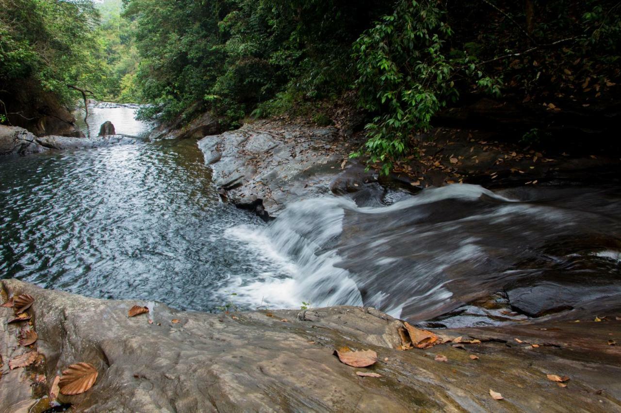 Adventure Base Camp Hotel Kitulgala Luaran gambar
