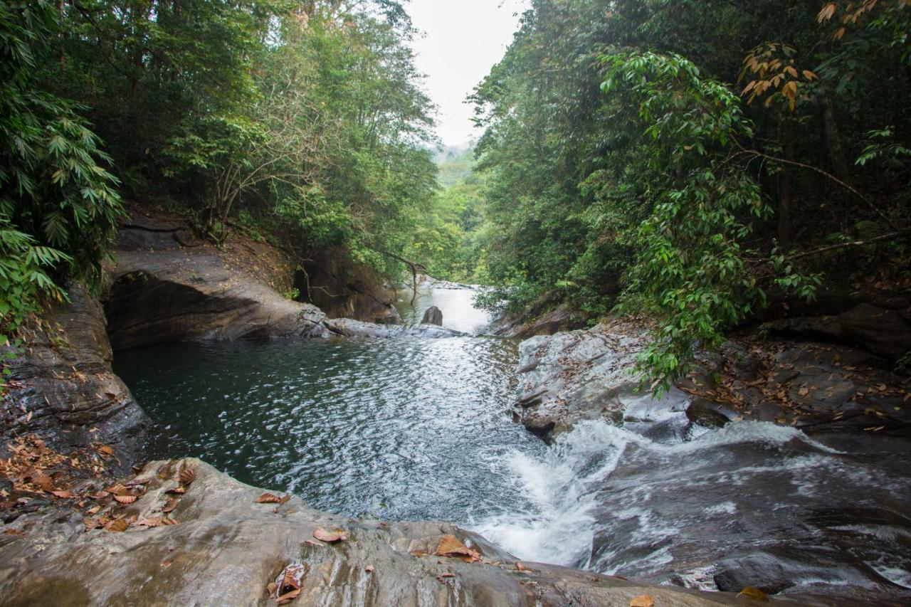 Adventure Base Camp Hotel Kitulgala Luaran gambar